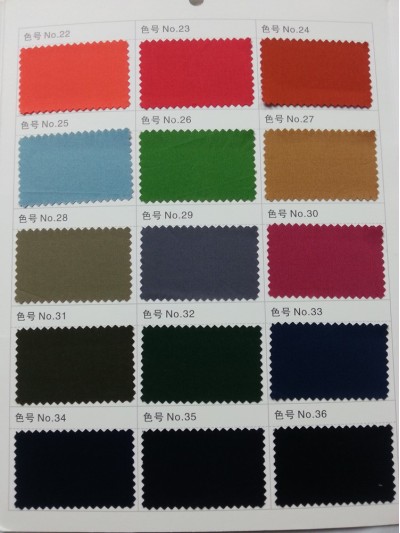 GZ- LEEN  C100% L58471 後面照